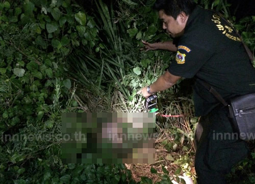 ข่าวล่าสุด